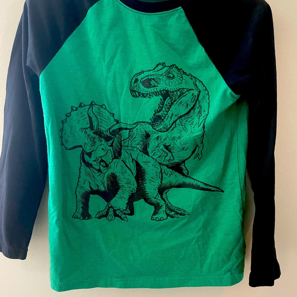 Cat & Jack dinosaur long sleeve tee shirt size medium (8/10)